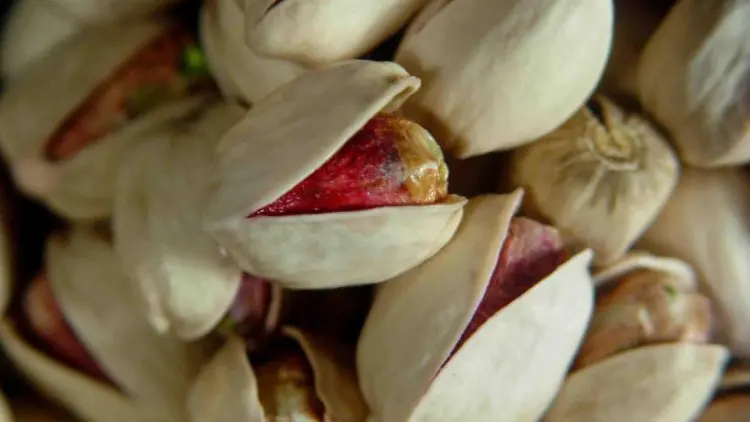 Высшее качество | Органические жареные и соленые фисташки На экспорт