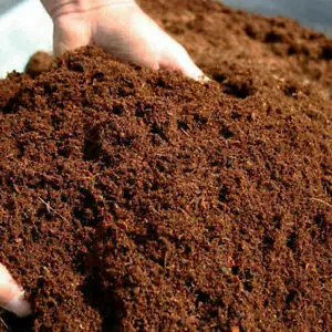Высококачественная грунтовая почва из кокосового волокна Cocopeat из Индонезии