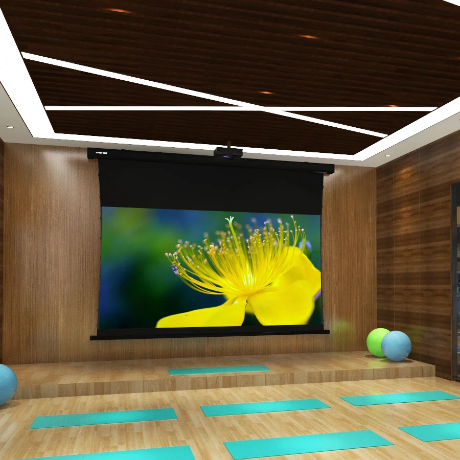 SCREEN PRO 120 Inch 16:9 UST ALR Motorized projector screen for Home cinema