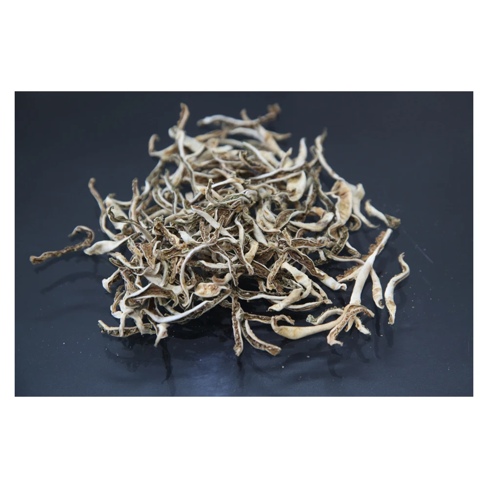 Top Quality Bitter Cucumber Wholesale price of Dried Bitter Cucumber Dried Herb From Thailand