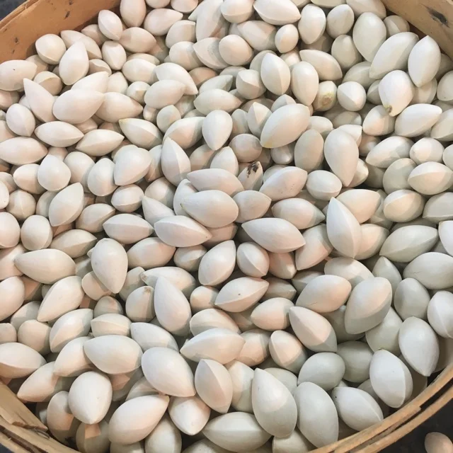 Ginkgo Nuts High Quality Ginkgo Nuts