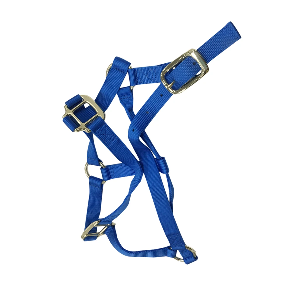 Новейший стиль верёвка для верховой езды высокое качество горячая цена кожаная на продажу