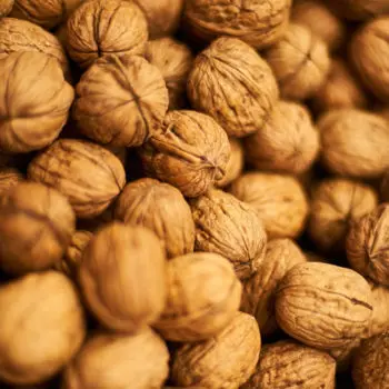 
Walnut In Shell And Ukraine Walnut Kernel 