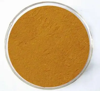 
High quality pure natural powder Monk Fruit Extract 80%,Momordica grosvenori /CAS:88901-36-4 