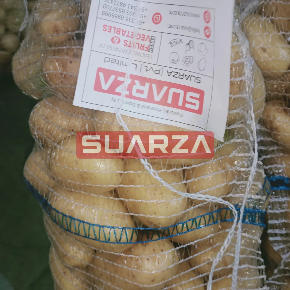 New fresh potato seeds for wholesale