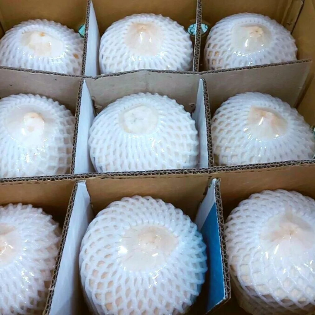 Vietnam Fresh Coconut - Premium, high quality, clean farming, VietGap, prestige, attractive price