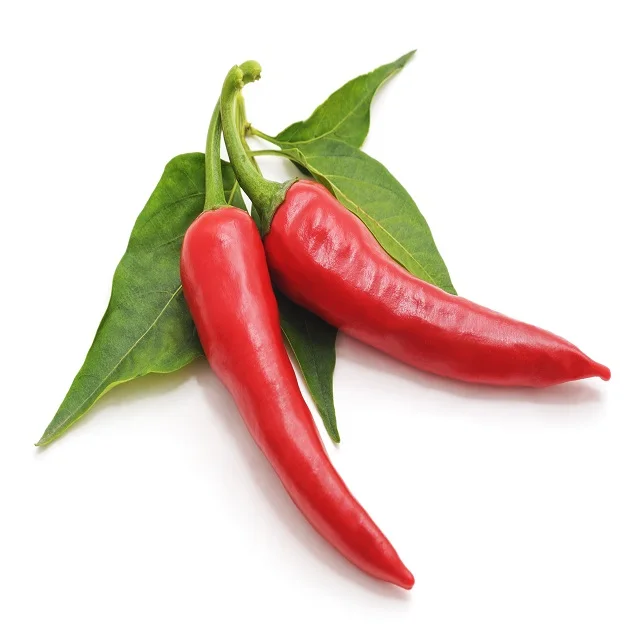 Dried chilli in many red pigments, food ingredient/ Air Dry Red Chilli Pepper