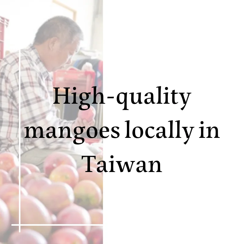 Вкусные тропические фрукты сушеные манго для людей с высоким холестерином