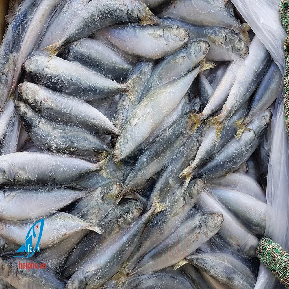Хит продаж замороженная круглая рыба продукт компании Hai Phu с методом замораживания IQF в кунгай
