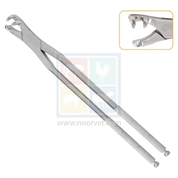 Three Root Forceps Off Side 19 inch Long, Forged Stainless Steel horse Equine dental