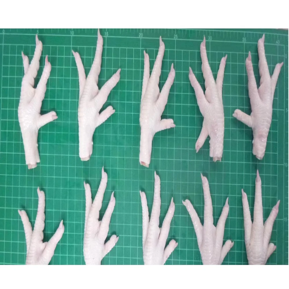 
High Quality Grade A Broiler Chicken Feet Frozen Chicken Paws From Thailand With 24 Months (at -18c) Shelf Life 