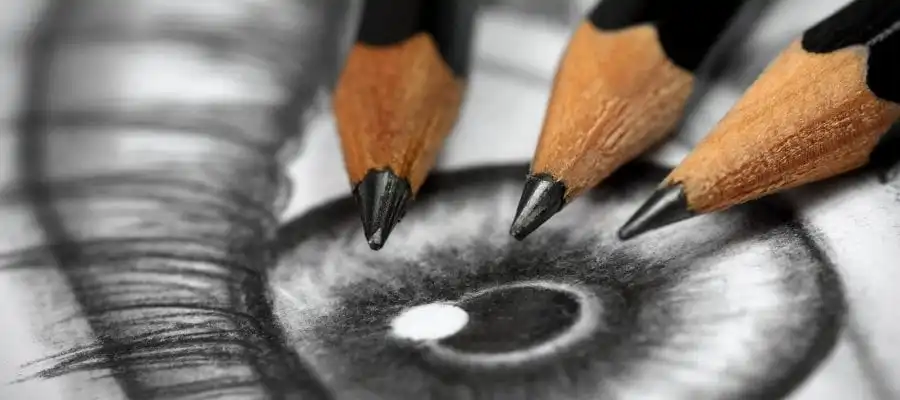 5H to 6B Tones & Shades Assorted Sketch Pencil Pack of 12 Graded Artist Sketching Pencil Drawing Pencil Set