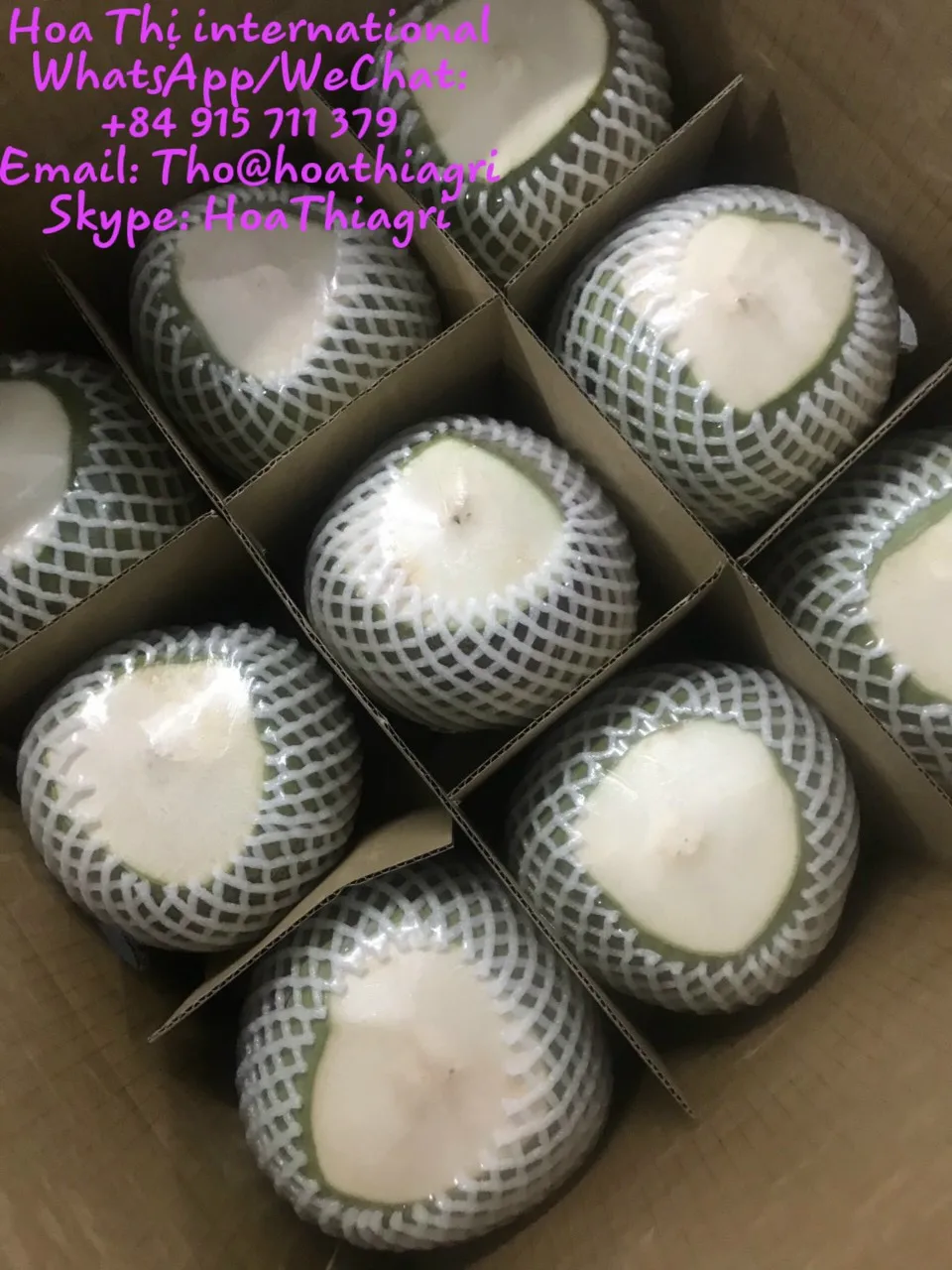 Свежий молодой кокос высокого качества по конкурентоспособной цене для экспорта, готов к отправке, Европейский азиатский рынок