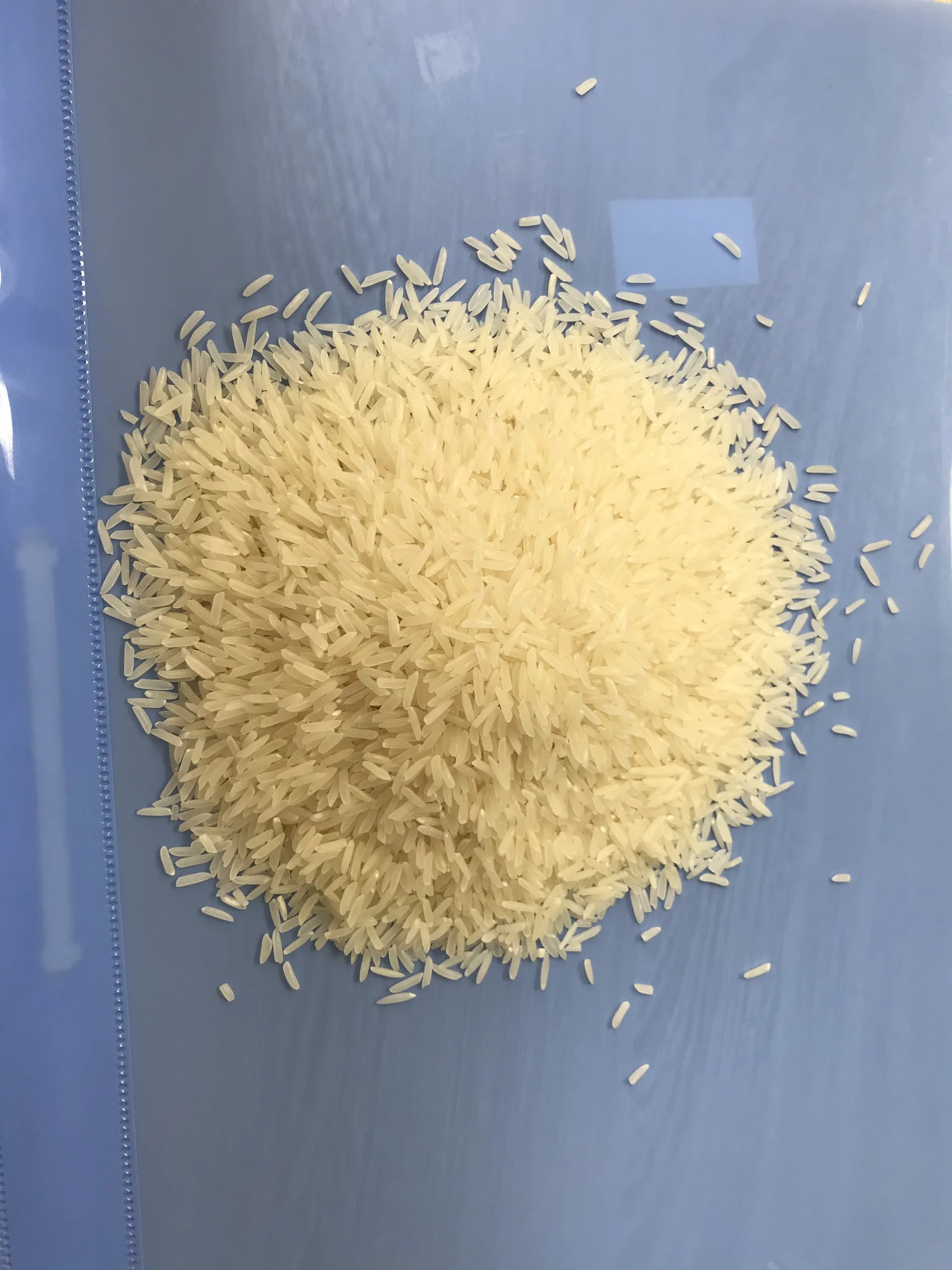 Вьетнамские экспортеры риса новый урожай сломанный 5% 25 кг полипропиленовый пакет мягкая текстура длинное зерно сушеный стиль ST24 рис