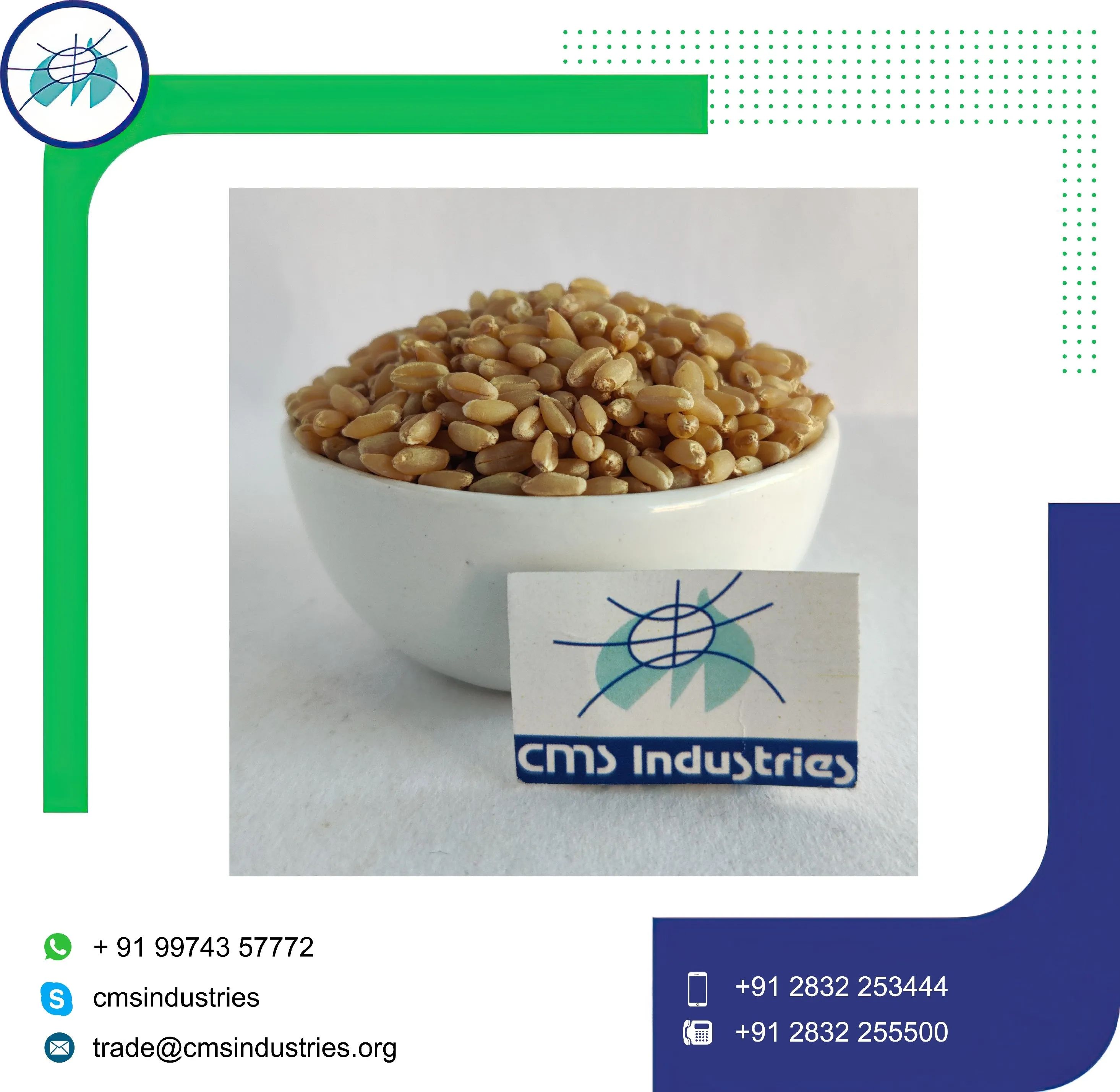 Exceptional High Quality Milling Wheat