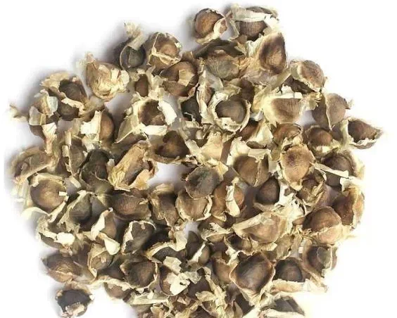 
Moringa Oleifera Seeds / Moringa Seeds Best Price 