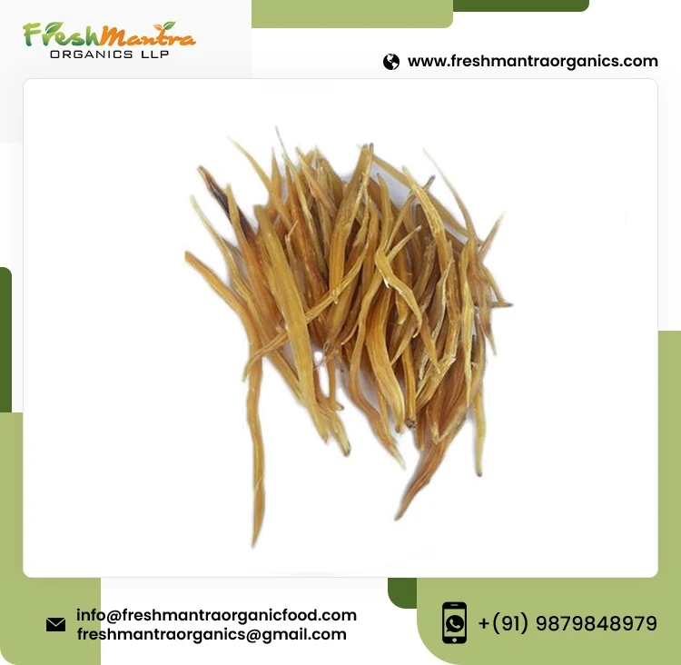 100% Natural Shatavari Powder Extract Shatavari Root Powder For Stronger Immune System Supplier