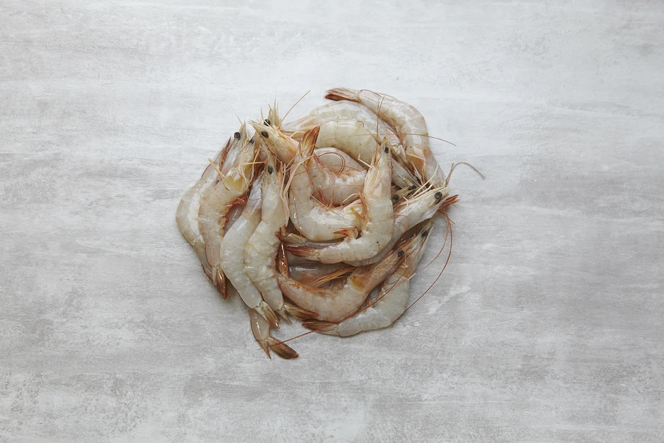 PINK LEG PRAWN.jpg