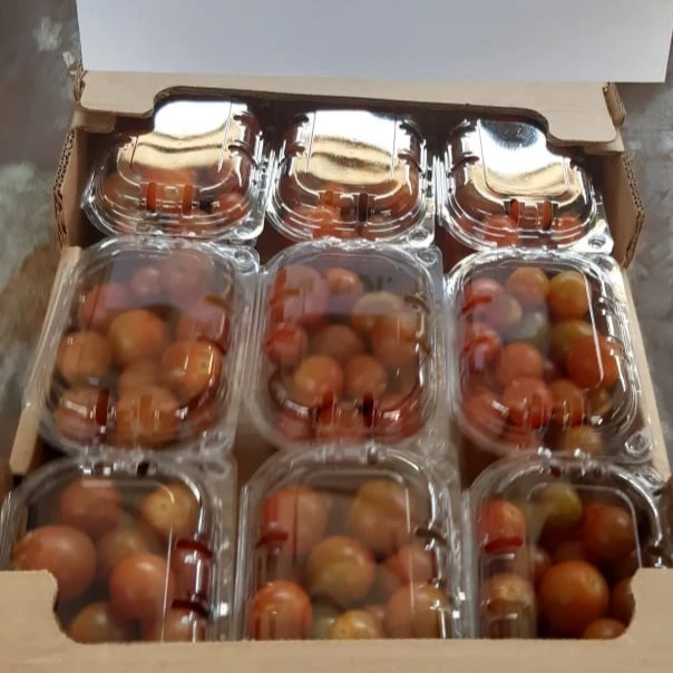 
Wholesale Bulk Vegetable Fresh Red Cherry Tomatoes 