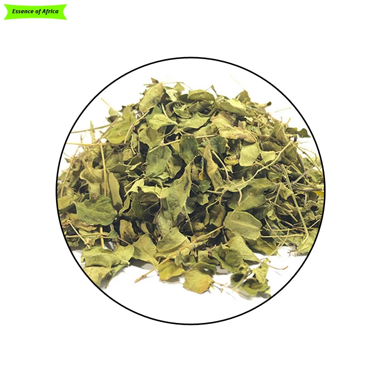 100% Organic High Quality Moringa Oleifera Plant Leaves Natural Moringa Leaf Herbal Tea Supplement for Extract  Non-GMO