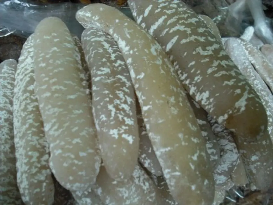 Сушеный морской огурец полезное и ценное питание