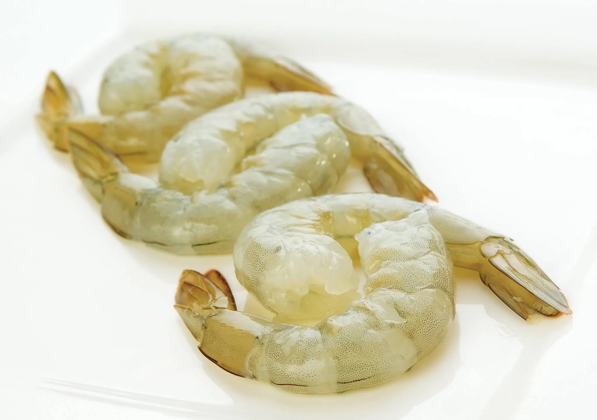 Best Seller Frozen  black tiger shrimps From Vietnam  Good black tiger shrimp price  (Thailien Company, Ms Fiona +84908794118)