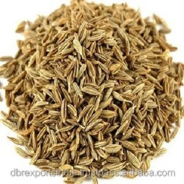 Cumin Oil via SCFE Co2 Natural Cumin Seed Oil Co2 supplier at wholesale price Small Quantity of Cumin Seed Oil Co2