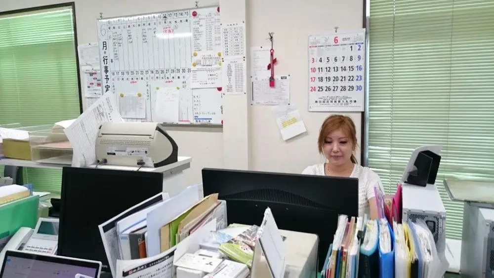 
Japan healthy food longevity Steamed weight loss organic sea kelp dried 