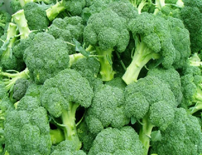 
Supplying frozen broccoli from Vietnam with best price_Vikafoods (+84983028718). 