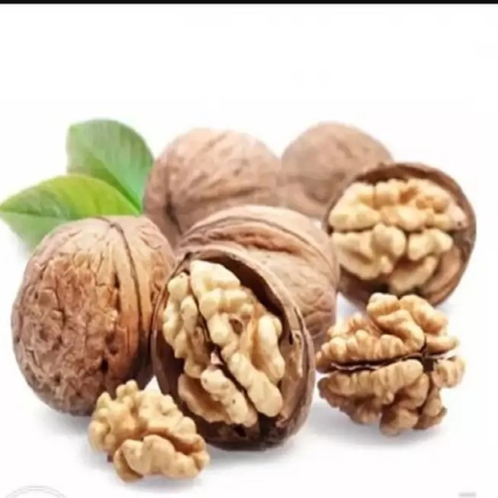 Highly Nutritious raw peanuts without shell Thighs Pieces