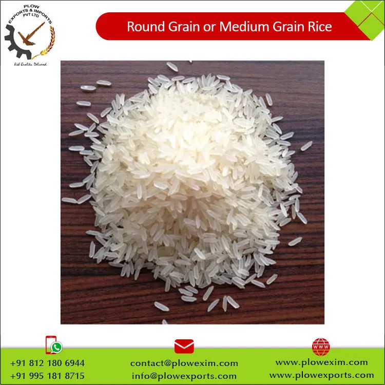 Round Grain or Medium Grain Raw Rice 5% Broken Round Rice Bulk Supply from India