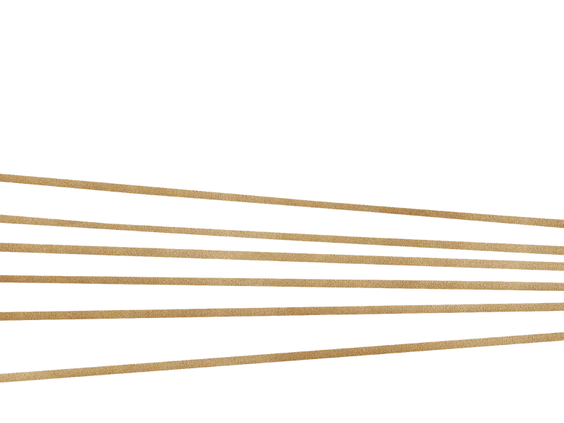 Italian Pasta Bronze Die Organic Durum Whole Wheat Dry with Oat Fiber Linguina Pasta 500g in bag for sale