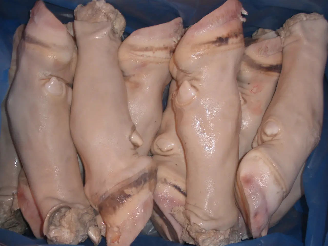 BEEF FEET FOR SALE