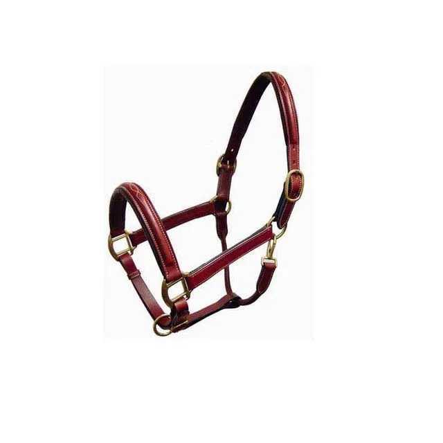 Hand Carved Leather Halter