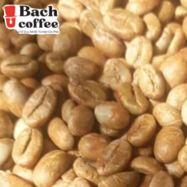 Белый кофе/100% жареный кофе Арабика Выращенный в хайленде Вьетнам/ручной выбор-натуральный сухая
