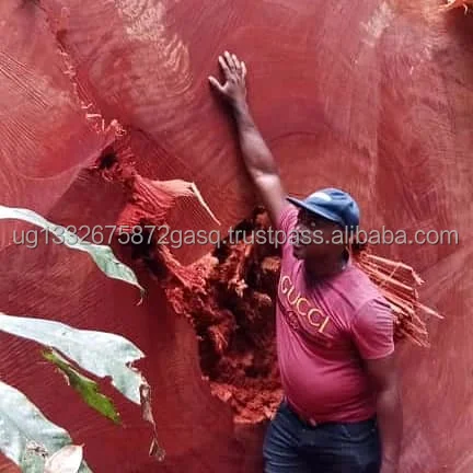 Premium 1/3 Hardwood Pine Logs and Lumber High Quality Sawn Timber Flooring Decking Plywood Materials