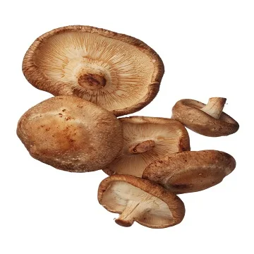 
 Хит продаж, замороженные ломтики Грибов shiitake IQF  