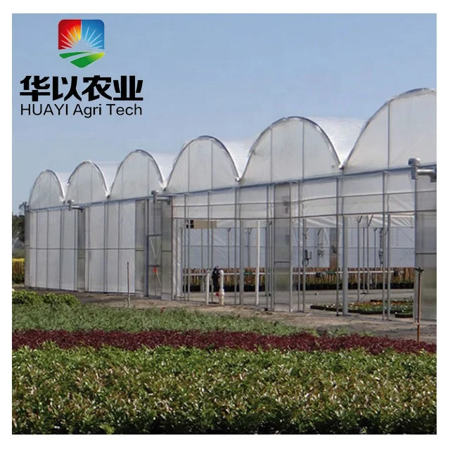 Commercial 200 micron plastic greenhouse film Greenhouse multi tunnel multi span green house