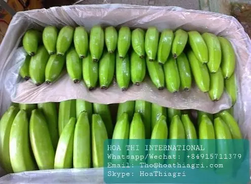 The Premium Fresh Cavendish Banana Vietnam With High Quality And Best Price For Export Ready To Shipping EU ASIA Market