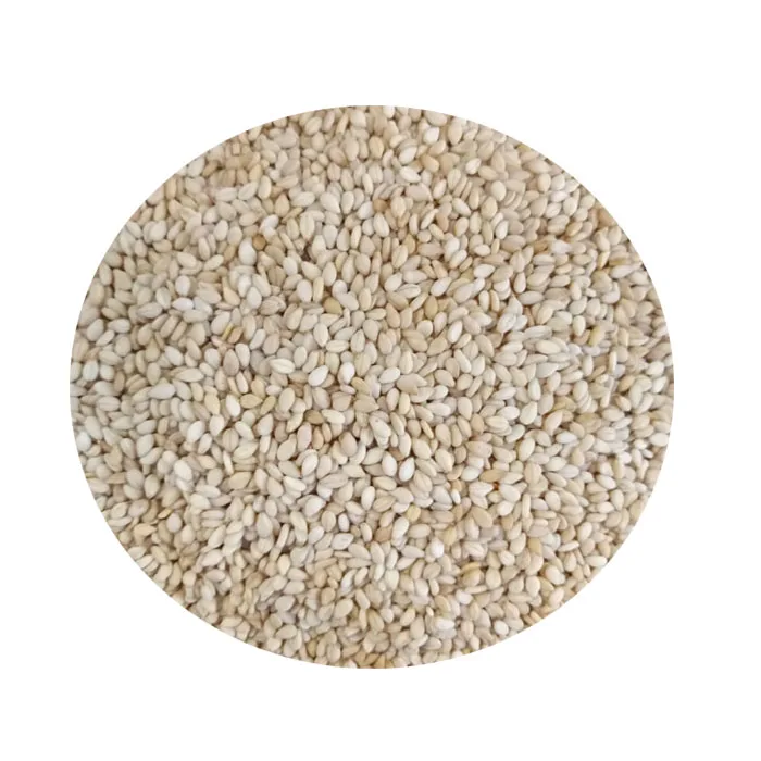 
Sesame Seeds Exporter and Importer Of India Sesame Seeds 