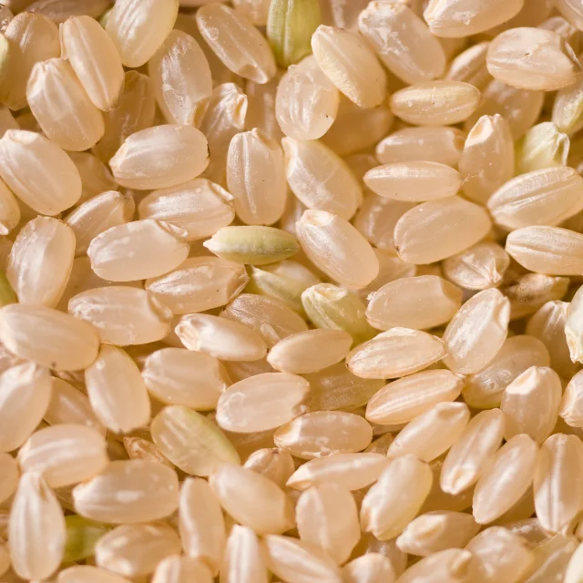 Brown Rice  Good Price For Export Best Quality Brand Manufacturer From Vietnam Hot Selling
