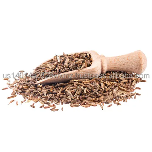 HIGH QUALITY CUMIN SEEDS EXPORT PRICE