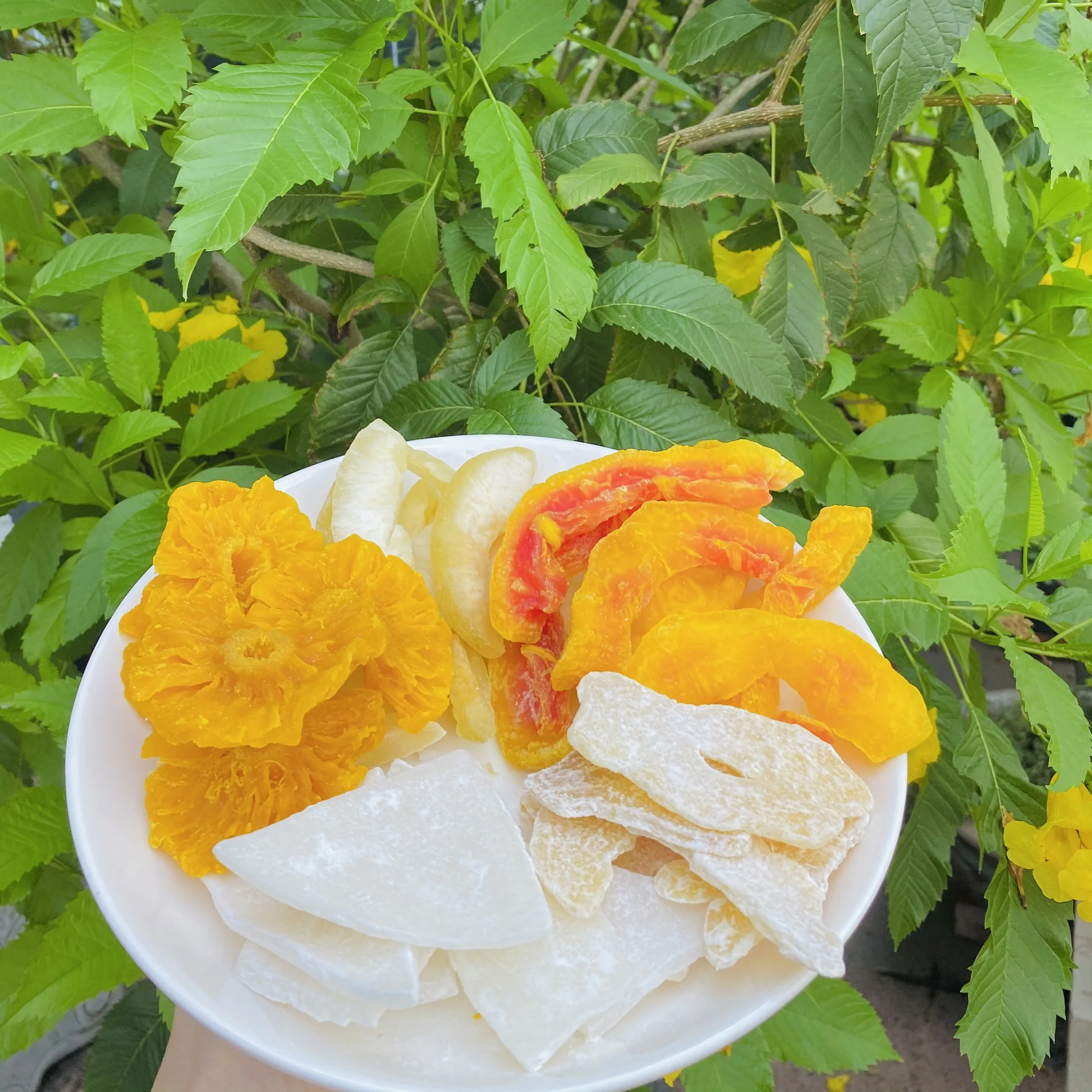 Мягкая сушеная упаковка Jackfruit OEM из Вьетнама (Мобильный/WA: + 84986778999 David Director)