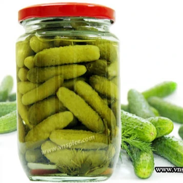 Оптовая продажа по низкой цене консервированный маринованный огурец в стекле/Vicky + 84 90 393 1029