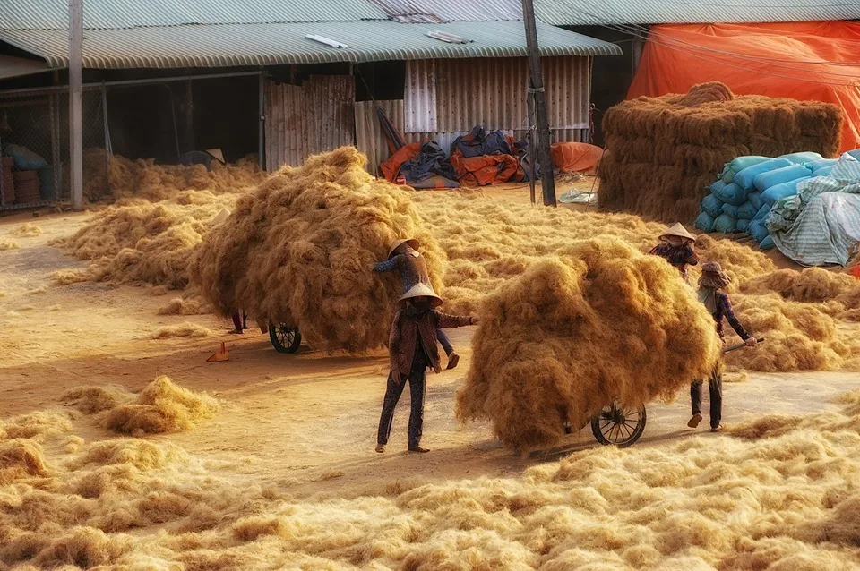 Professional Exporter With Coconut Husk Fibre Material Wholesale Coco Coir Fiber