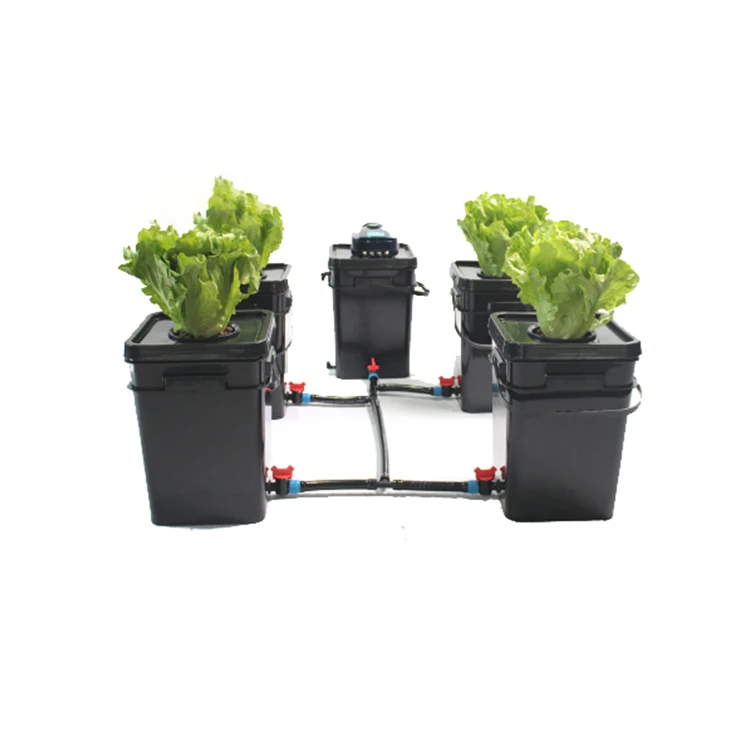 Square Plastic Pots Hydroponic Tomato Vegetables Grow Buckets