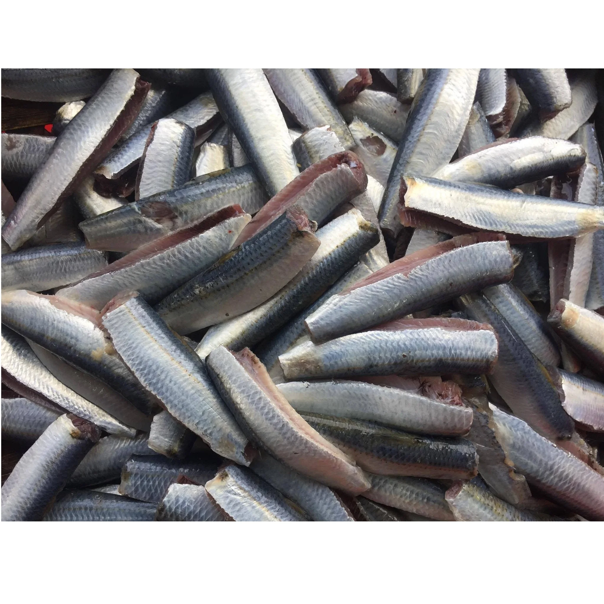Wholesale Good Quality Good Meat Fresh Air-dried Frozen Seafood Product Whole Cleaned Herring Fish Exported from Vietnam