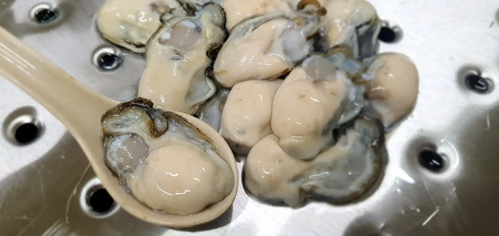Best Item From Reputable Company In Viet Nam Offer Oyster At Low Price With ISO HACCP Certificate Premium Oyster Intestine