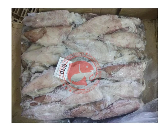 Whole Frozen Loligo Squid in Bulk Pakistani Origin Frozen Loligo Squid High Quality Whole Loligo Squid