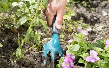 Hy-Ray Singapore: Garden Tools Comfortable Handling Corrosion Protection FLOWER FORK G-8952 From Germany